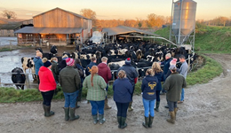 Entrepreneurs in Dairying applications open